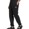 'The North Face' Men's Half Dome Sweatpants - TNF Black